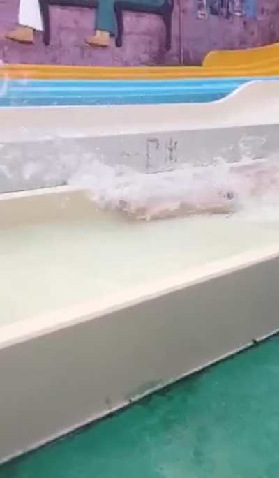 Flashed everyone 🤣