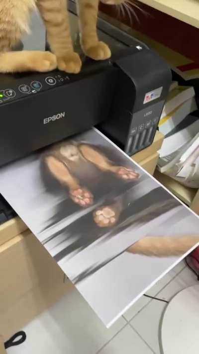 Hard at work printing confidential documents... including his own balls.