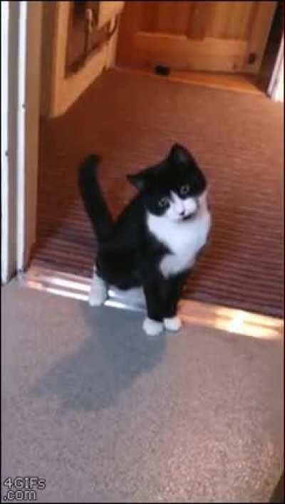 It’s The Claw!!!!! AAAAHHHHHHHH!!!!!