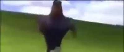 some exquisite moldyness