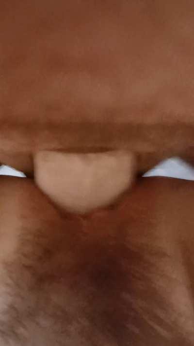 Pt 2 Brady plus size