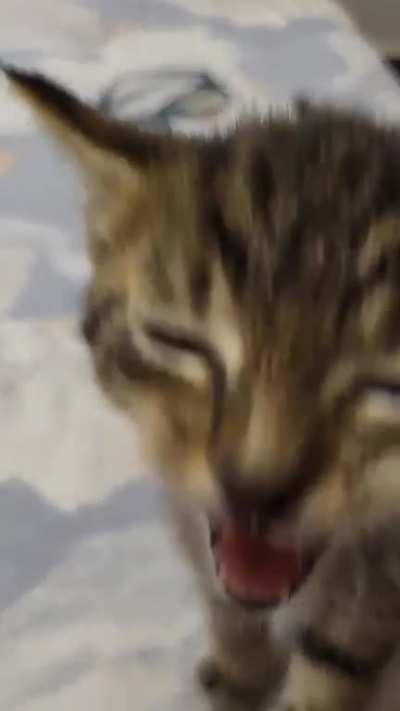 Are you not entertained?!?!