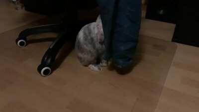 I told Babi to get my pants and he seems having some trouble.