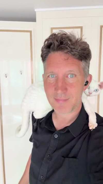 Peek a Boo Shoulder Cat