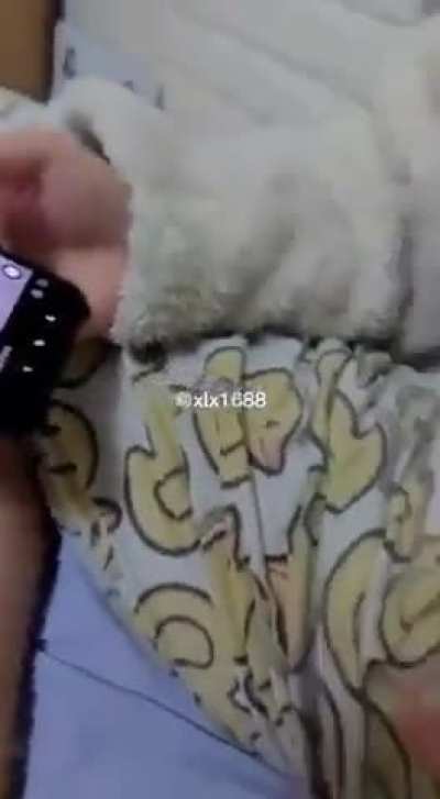 Zhyna🤝Ruzzia💑❤️‍🔥