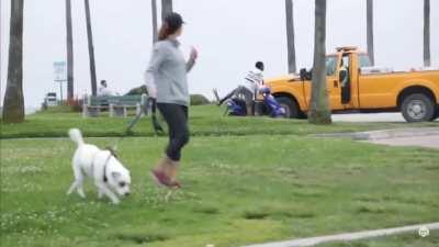 Guy thinks he is playing GTA 5