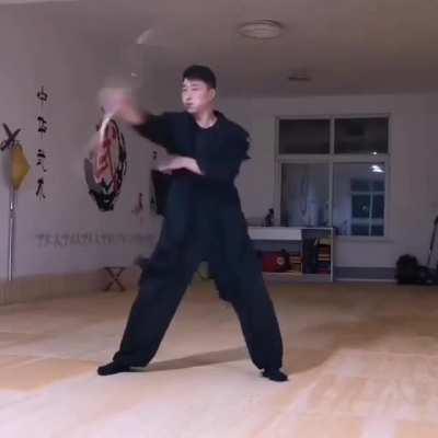 This martial artist using a nunchaku