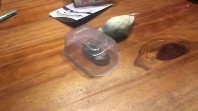 Suicide bomber drone