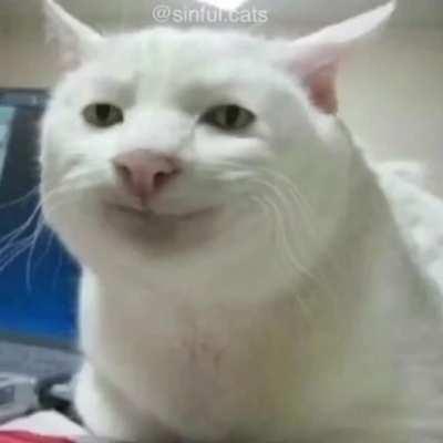 ..........................