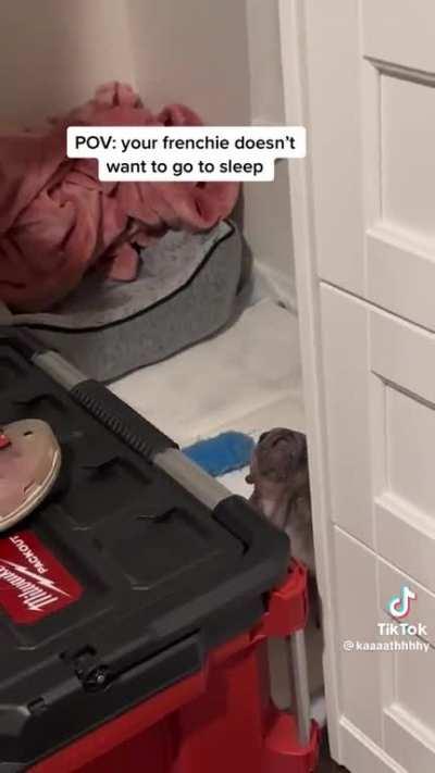 Getting them to sleep 😴