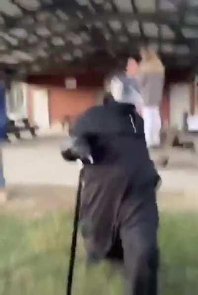 Sheep herded, cat crosses the courtyard!