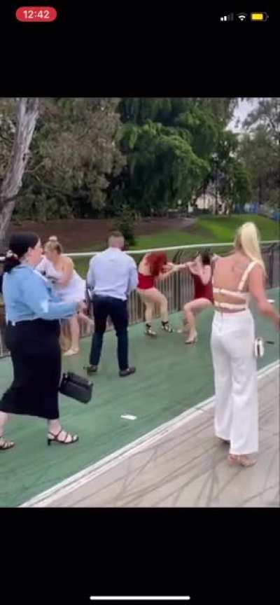 Apparently this was in Brisbane, us Aussies are so classy