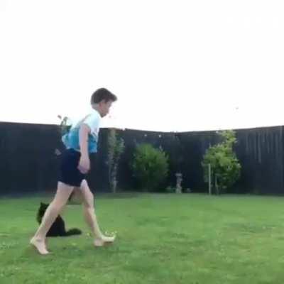 Cats are hard to impress