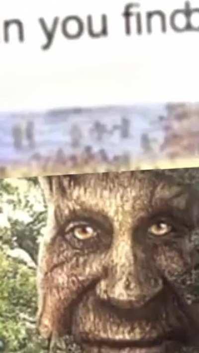 Wise Mystical Tree (if you’ve somehow seen this on tiktok yes I’m the guy who made this)