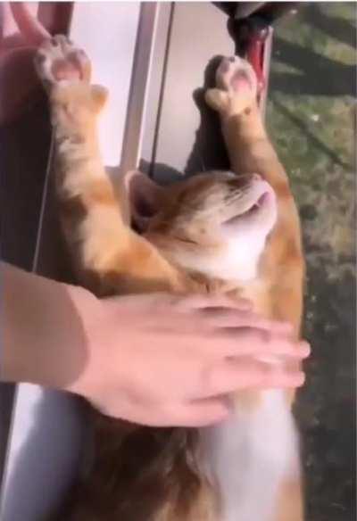 Just working on my suntan