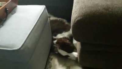 I'm gonna f* some S** up