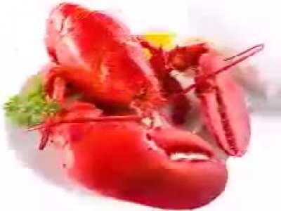Lobster