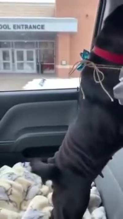 Boy reunited with lost dog