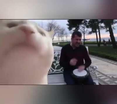 hoca derse gelmeyince sıkılan agalar ve ben