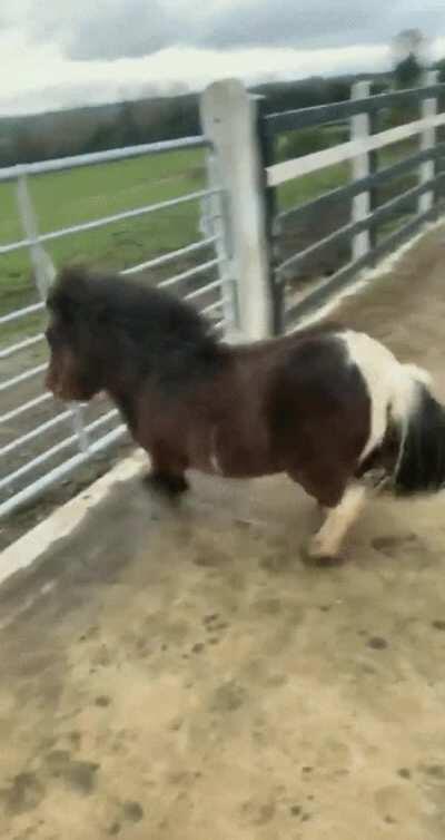 This is exactly how cartoon characters do it!