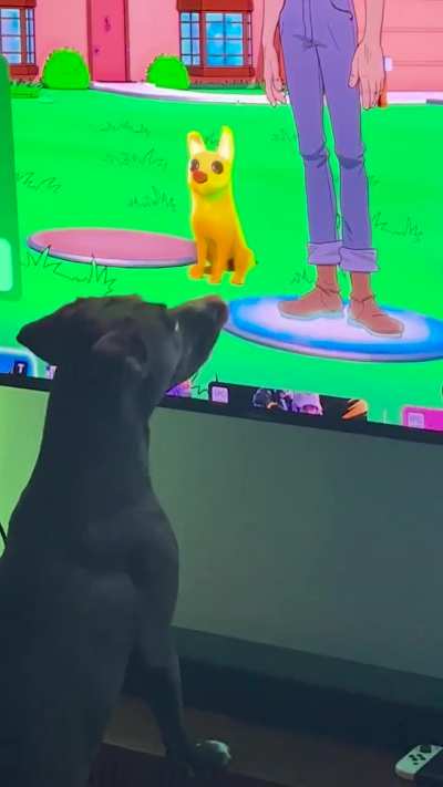 My dog booped an animated banana dog