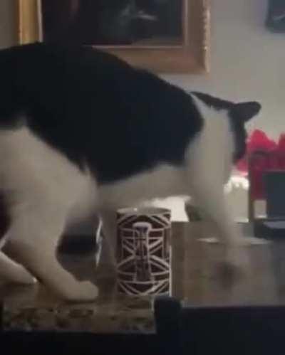 This coffee smells like crap...