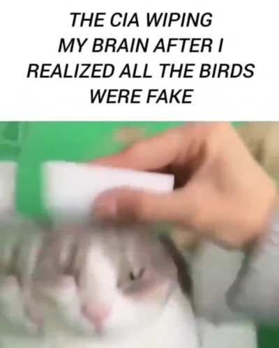 Kwjbbd! >|] qi-382asheiUuuu AAAAAAAAAAAAA