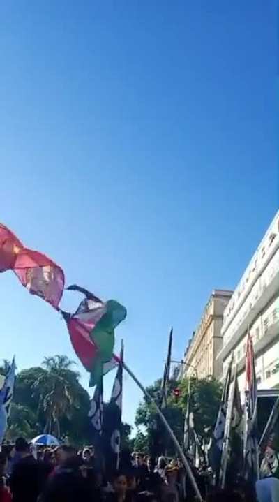 Los manifestantes ondeando las banderas de Palestina y el Polo Obrero en la marcha