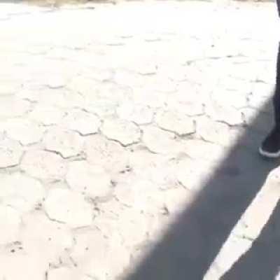 NEWS rePOrtEr bRutALLy mauLEd BY TwO angrY wolVeS