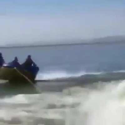 Webadas - Video #2848