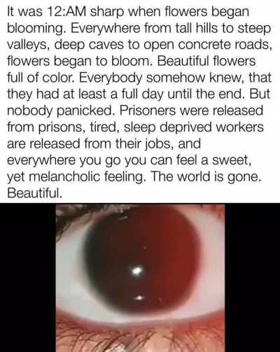 The servers shut down 💀