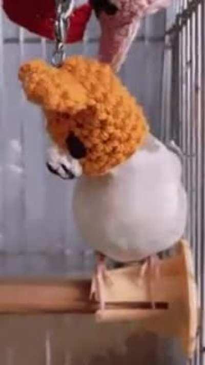 Programmed for disguise.