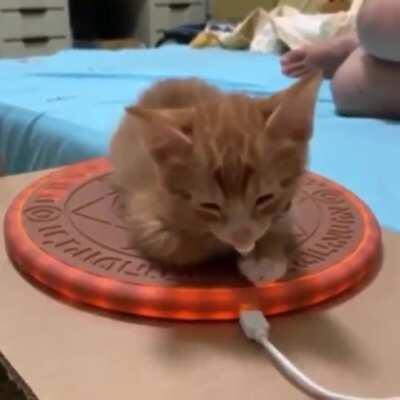 When you finally manage to awaken the shop keeper