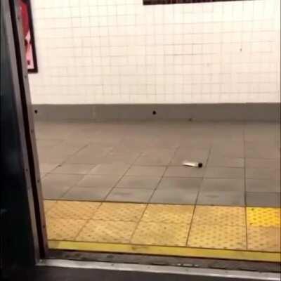 What is even happening