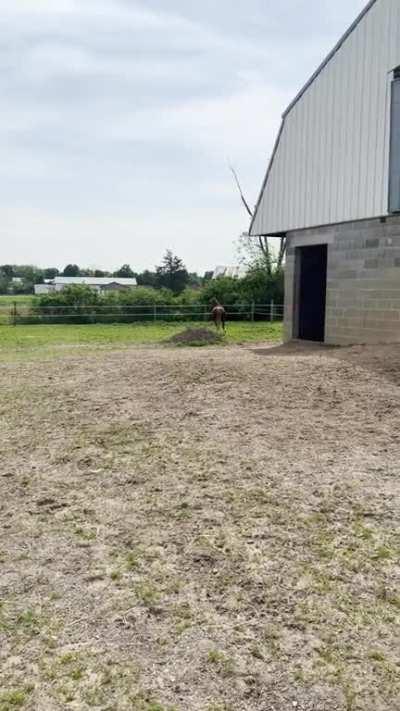 Rain is 33 years old today!