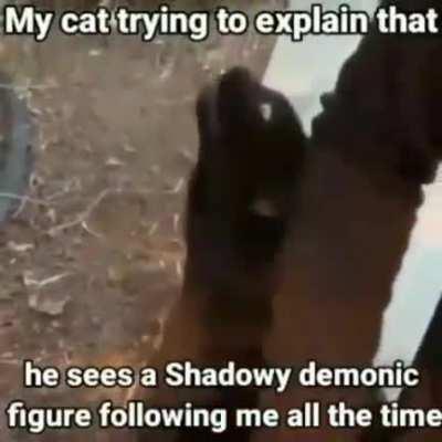 m̵̯̳̰̦̅͊ḛ̵̝͚̩͓̻̖̌̊ơ̶̢͖̘̰̠̦̹͌̈́́͋̕ẁ̸͈͒͐͝ ̷̤̹̣̬̃̅̓m̸̨̻̮̥̮͉͂̽͜ẻ̶̮̮̙͎̠͒͗̈́̏̏ͅǒ̸̝͙̤̈̃̿͑͗̈̅ͅw̸̧̨̛̠̭̻̭͓̖̬͇̆͐͊͝