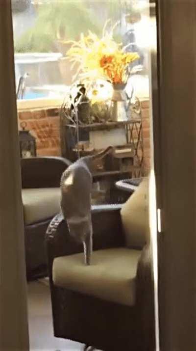 CaTe iS sTuCk TiL dEd