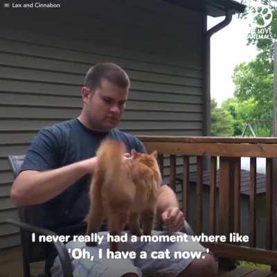 Abandoned cat learns to trust again