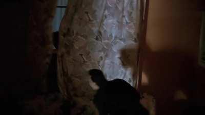 Annette Bening In The Grifters