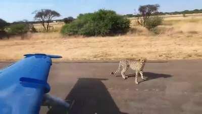 Makhado Air Force Base. Enlisted personnel encroaching on taxiway.