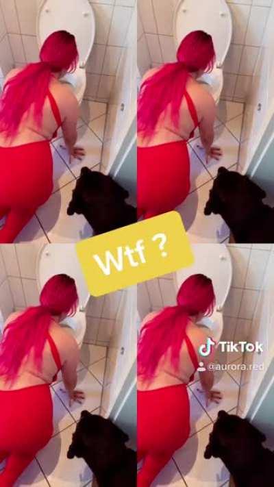 I eat everywhere. She really thinks she is a cat 😏