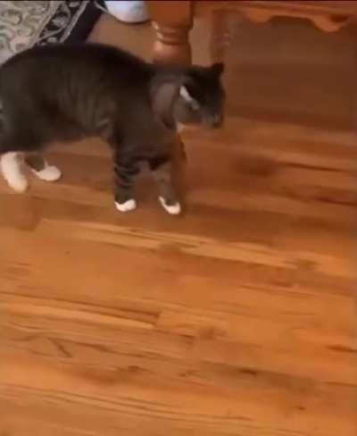 I wonder what it said...