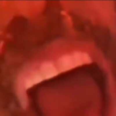 Don't take your phone out at a Donald concert