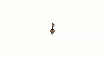 POV: you're a ranged top laner