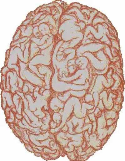 My brain, While watching a christopher nolan mama movie 🙃