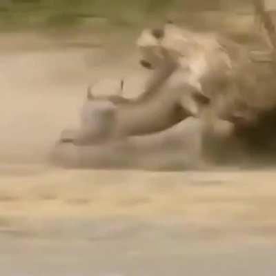 How the turntables...