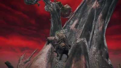 I have ascended Mt. Aeonia (huge caelid tree)