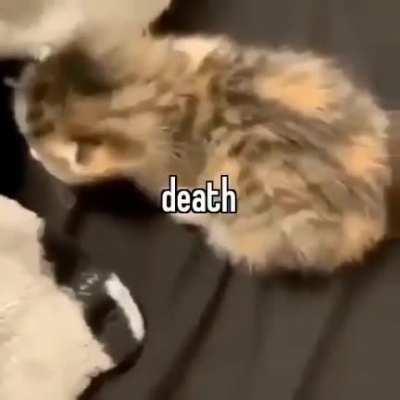 I'm 15 and this is yeet