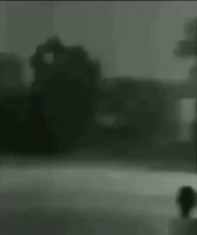 I’ve been off the grid 😿