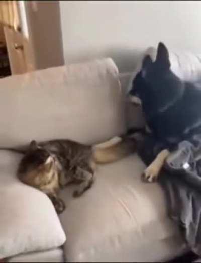 When you’re angry because your friend won’t play with you.